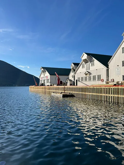 bilde av kaianlegg